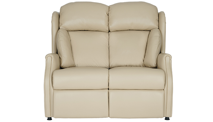 2 Seater Sofa (Leather)